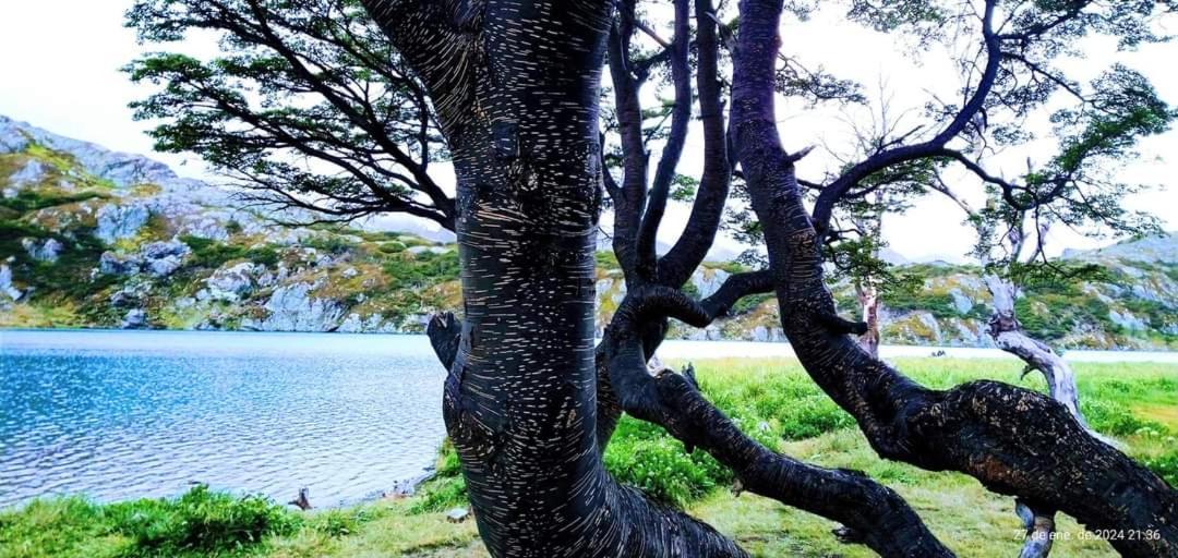 Cabanas Santa Montana Ushuaia Dış mekan fotoğraf