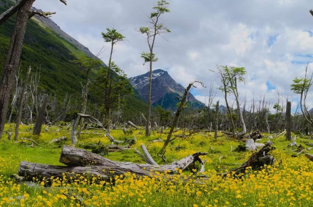 Cabanas Santa Montana Ushuaia Dış mekan fotoğraf
