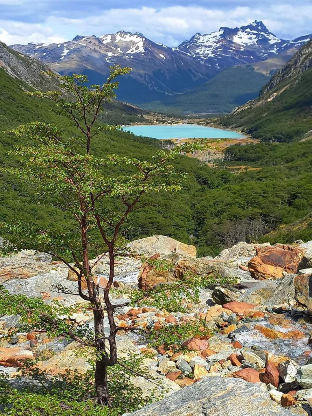 Cabanas Santa Montana Ushuaia Dış mekan fotoğraf